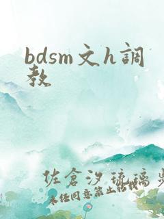 bdsm文h调教
