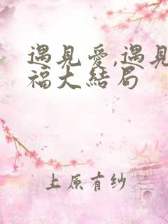 遇见爱,遇见幸福大结局