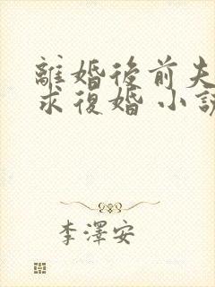 离婚后前夫哭着求复婚 小说阅读