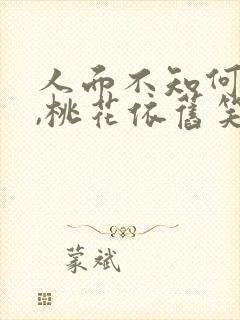 人面不知何处去,桃花依旧笑春风啥意思