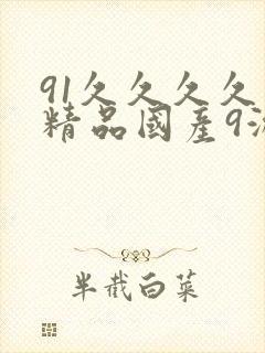 91久久久久久精品国产9游