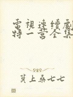 电视连续剧我的特一营全集完整版