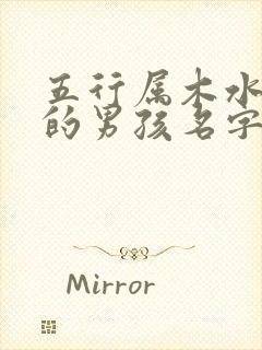 五行属木水组合的男孩名字