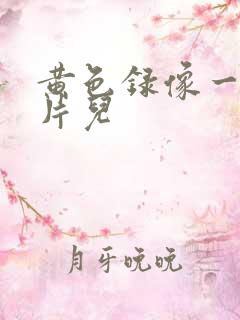 黄色录像一级大片儿