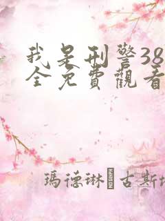 我是刑警38集全免费观看