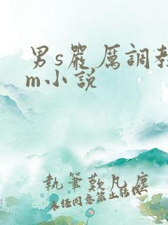 男s严厉调教女m小说