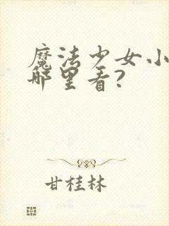 魔法少女小圆在哪里看?