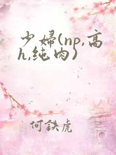 少妇(np,高h,纯肉)