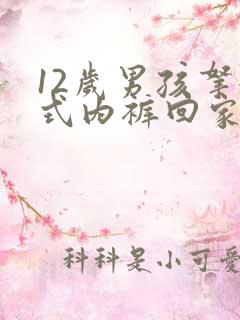 12岁男孩拿女式内裤回家怎么办