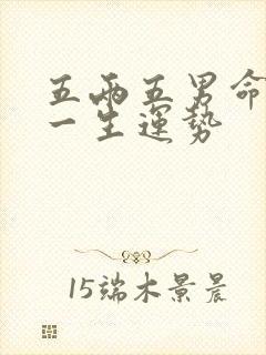 五两五男命详解一生运势