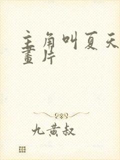 主角叫夏天的动画片