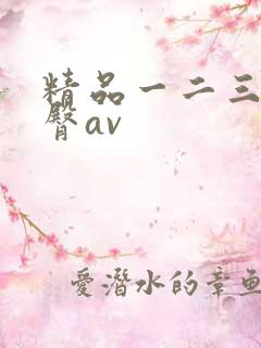 精品一二三区蜜臀av