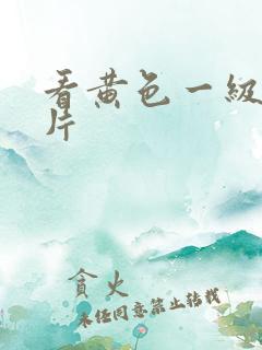 看黄色一级免费片