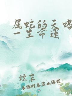 属蛇的天蝎女的一生命运