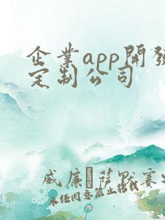 企业app开发定制公司