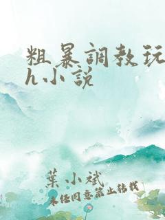 粗暴调教玩弄高h小说