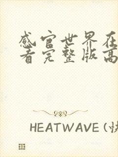 感官世界在线观看完整版高清电影