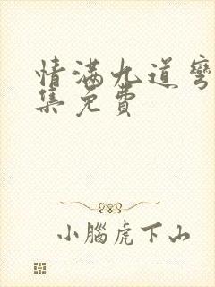 情满九道弯40集免费