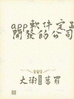 app软件定制开发的公司哪家好