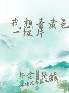 我想看黄色录像一级片