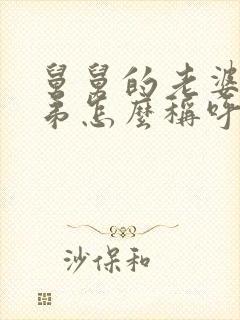 舅舅的老婆的弟弟怎么称呼