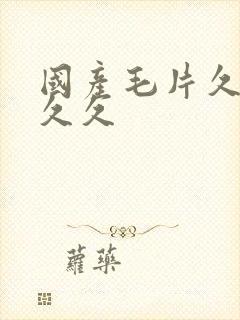 国产毛片久久久久久