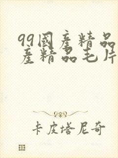 99国产精品国产精品毛片19