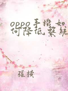 oppo手机如何降低系统版本