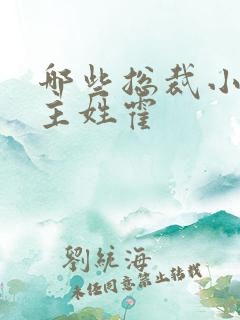 哪些总裁小说男主姓霍