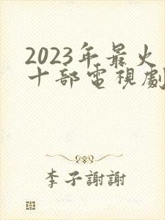2023年最火十部电视剧