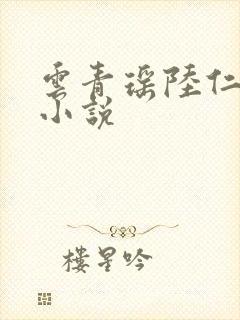 云青瑶陆仁全文小说