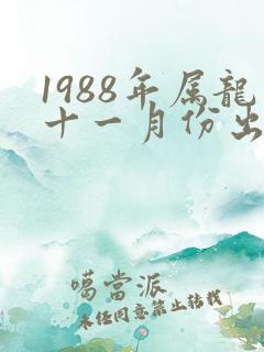1988年属龙十一月份出生是什么命