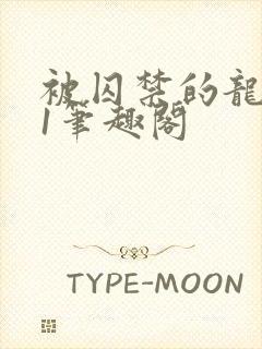 被囚禁的龙1v1笔趣阁