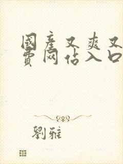 国产又爽又黄免费网站入口