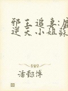 邪王追妻:废材逆天小姐苏落南宫流云