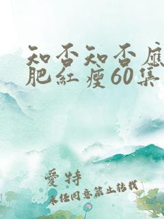 知否知否应是绿肥红瘦60集