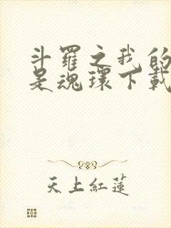 斗罗之我的武魂是魂环下载txt