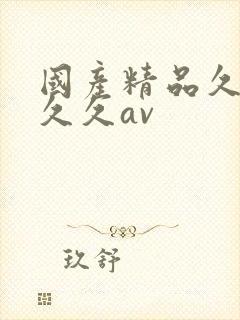 国产精品久久久久久av