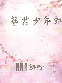 簪花少年郎下载