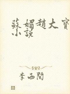 苏媚赵大宝赵勇小说