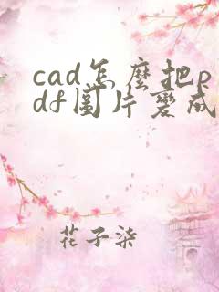 cad怎么把pdf图片变成线条图
