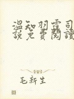 温知羽霍司砚小说免费阅读