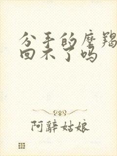 分手的摩羯男挽回不了吗