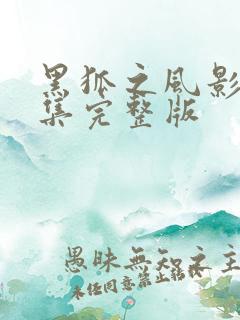 黑狐之风影44集完整版