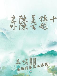 良陈美锦十个番外陈玄越