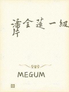 潘金莲一级片淫片