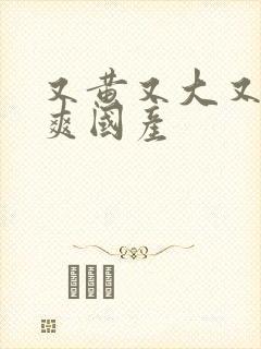 又黄又大又色又爽国产