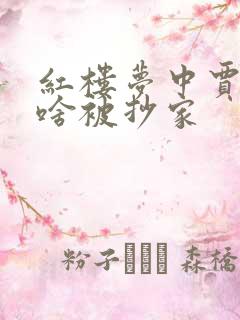 红楼梦中贾府为啥被抄家