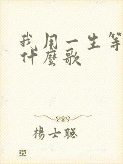 我用一生等你是什么歌