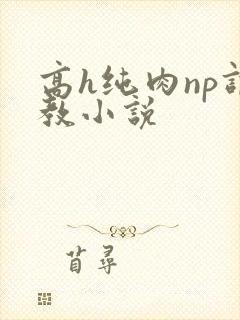 高h纯肉np调教小说